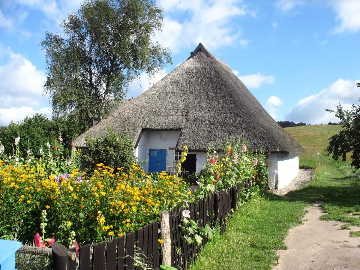 Ferienhaus Zum Boddenstrand Mit Ka Groß Zicker Zewnętrze zdjęcie